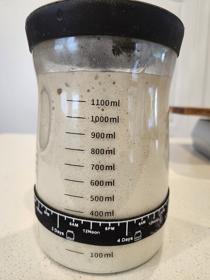 Bonnie - Our sourdough starter